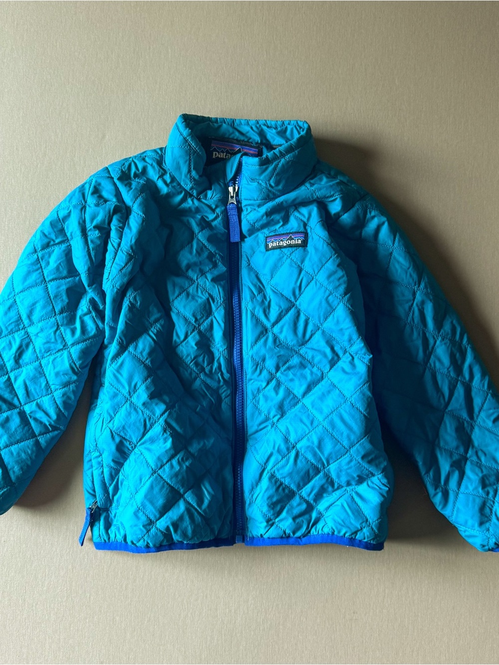Patagonia Kids Teal Quilted Puffer Jacket